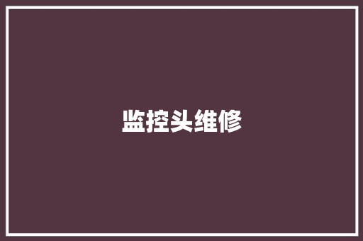 监控头维修,摄像机立杆。
