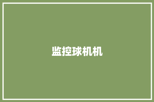 监控球机机