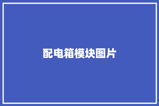 配电箱模块图片,配电箱的跨接线。
