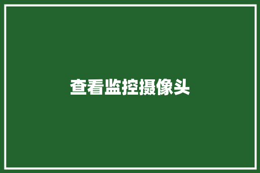 查看监控摄像头