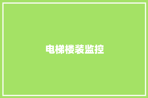 电梯楼装监控