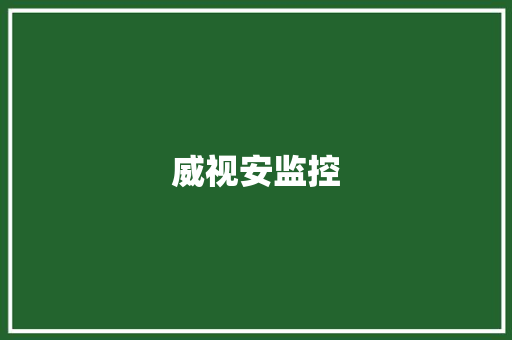 威视安监控