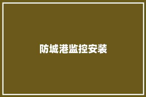 防城港监控安装