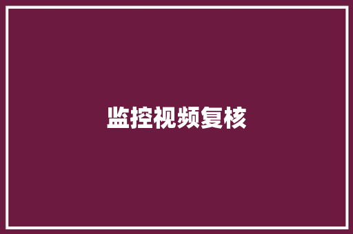 监控视频复核