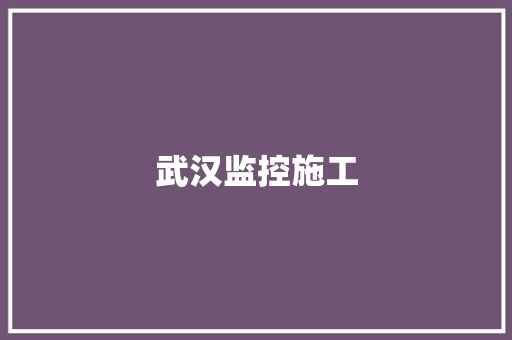 武汉监控施工,杨某60岁近一月来寒热持续不解。