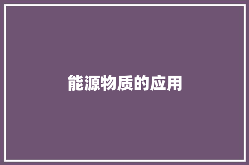 能源物质的应用