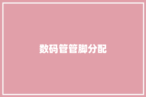 数码管管脚分配,数码管驱动。