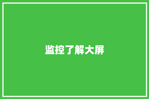 监控了解大屏,大屏可视化前端开发。