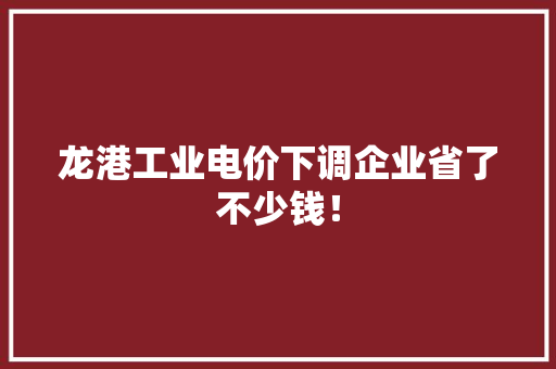 龙港工业电价下调企业省了不少钱！