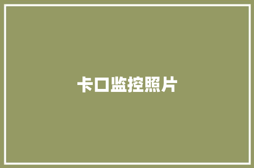卡口监控照片
