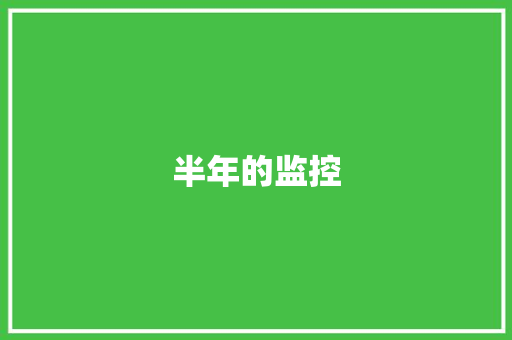半年的监控