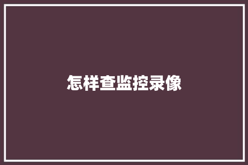 怎样查监控录像