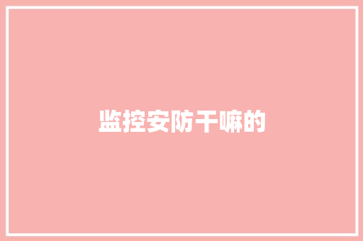 监控安防干嘛的