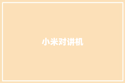 小米对讲机