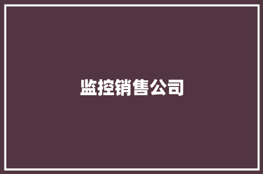 监控销售公司