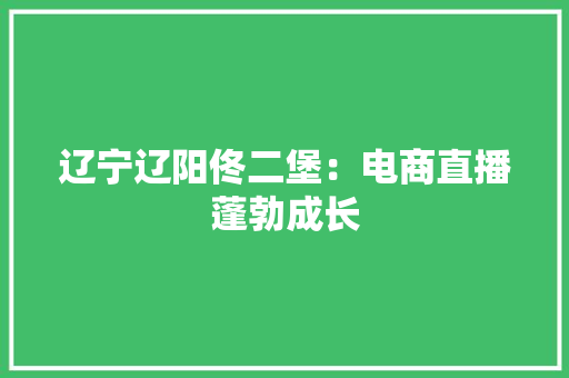 辽宁辽阳佟二堡：电商直播蓬勃成长