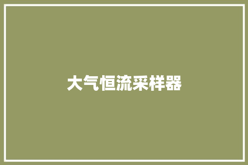 大气恒流采样器
