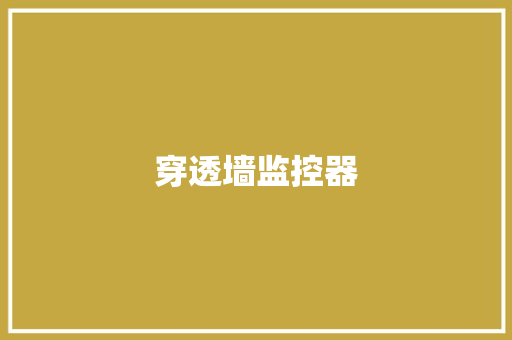 穿透墙监控器,监控器小型隐装。