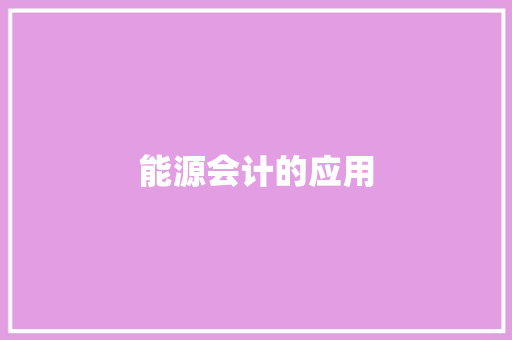 能源会计的应用