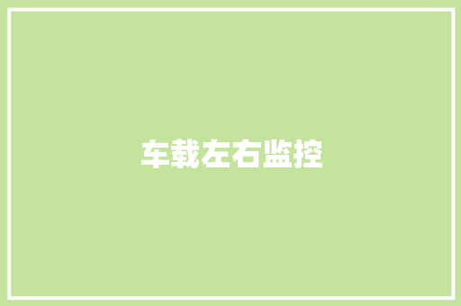 车载左右监控,摄像头监控哪个品牌好。