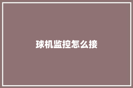 球机监控怎么接
