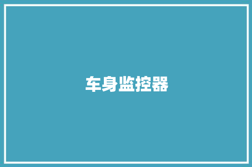 车身监控器