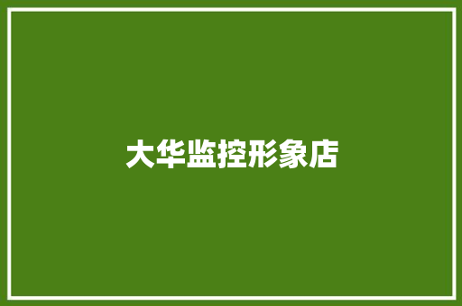 大华监控形象店,大华股份。