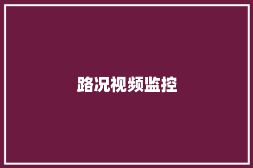 路况视频监控,高德地图。