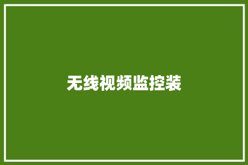 无线视频监控装