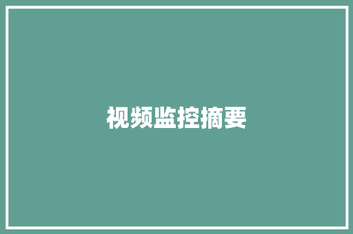 视频监控摘要