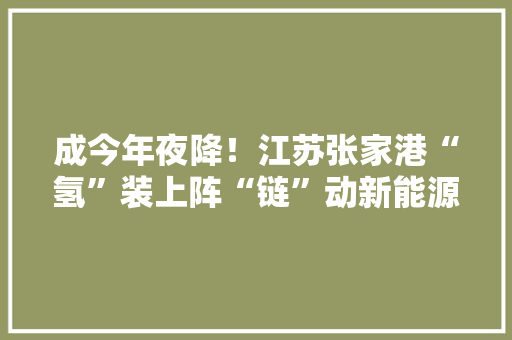 成今年夜降！江苏张家港“氢”装上阵“链”动新能源家当