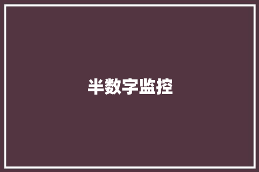 半数字监控,显示器修理。