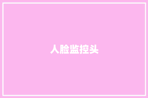 人脸监控头,人脸认证登录系统。