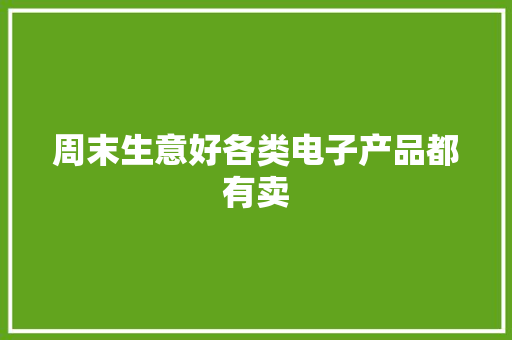 周末生意好各类电子产品都有卖