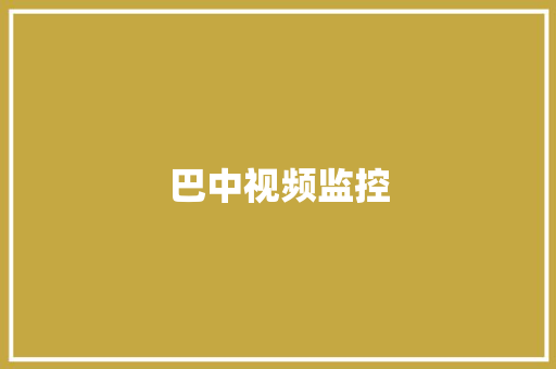 巴中视频监控