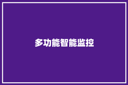多功能智能监控