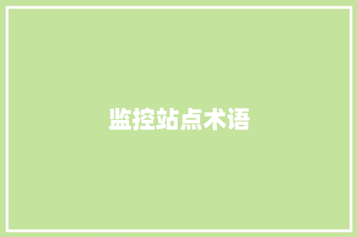 监控站点术语