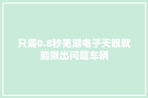 只需0.8秒芜湖电子天眼就能揪出问题车辆