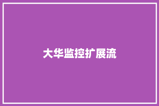 大华监控扩展流,大华股份。