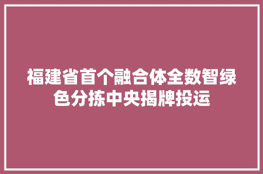 福建省首个融合体全数智绿色分拣中央揭牌投运
