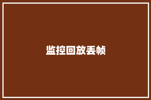 监控回放丢帧,设置时间格式。