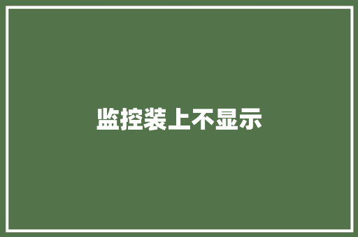 监控装上不显示