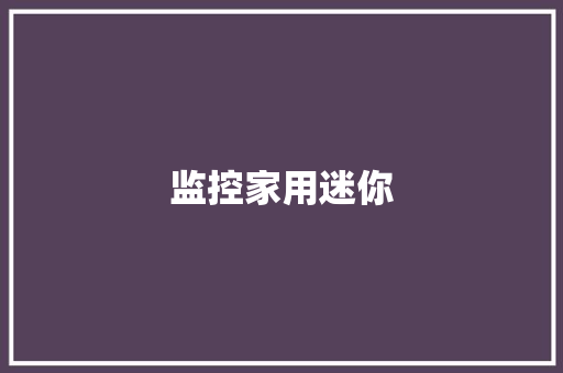 监控家用迷你