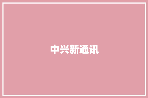 中兴新通讯