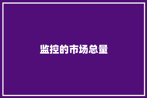 监控的市场总量