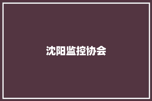 沈阳监控协会