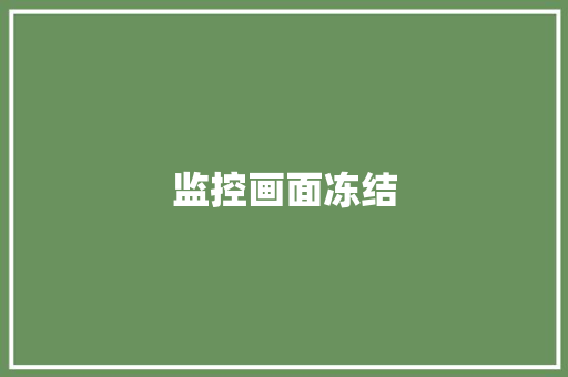 监控画面冻结