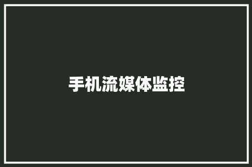 手机流媒体监控,记录仪哪个牌子质量可靠。