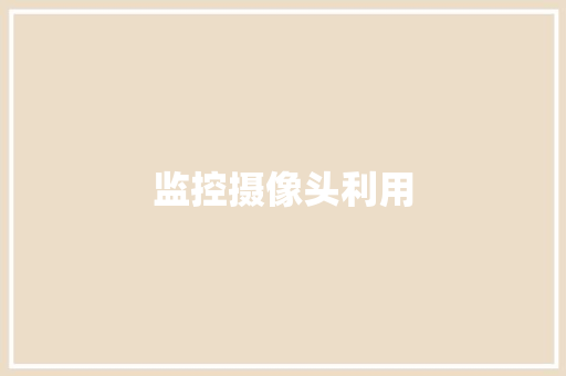监控摄像头利用