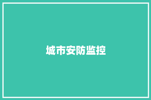 城市安防监控
